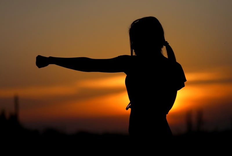 Chinese Martial Arts